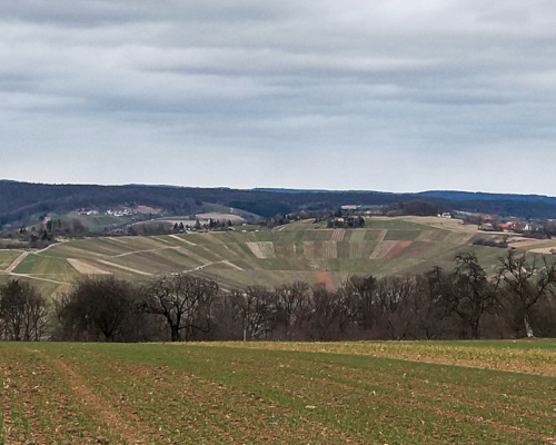 Blick auf den gegenüber liegenden Hügel, auf dem Felder in verschiedenen Farben angelegt sind.