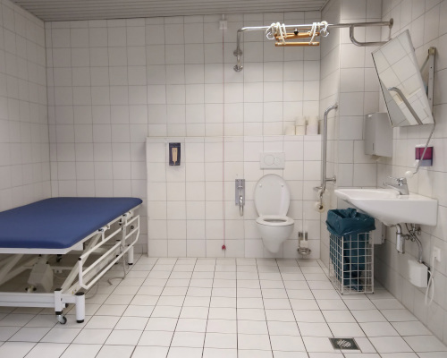 Behinderten-Toilette mit einer großen Liege, einem WC mit einseitigem Klapp-Griff und unterfahrbarem Waschbecken.