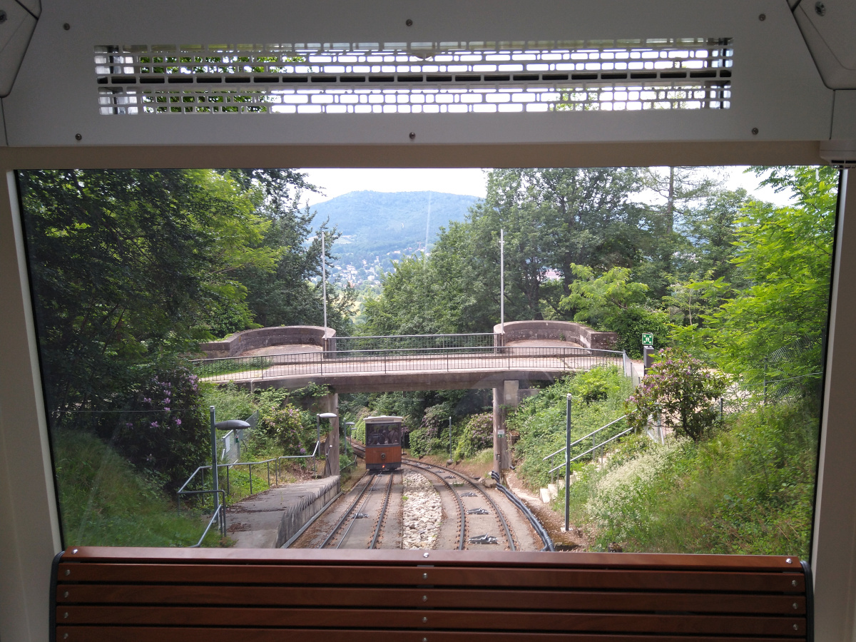 Blick aus der Berg-Bahn auf die Schienen. 2-gleisige Stelle, an der gerade eine 2. Berg-Bahn vorbei-fährt.