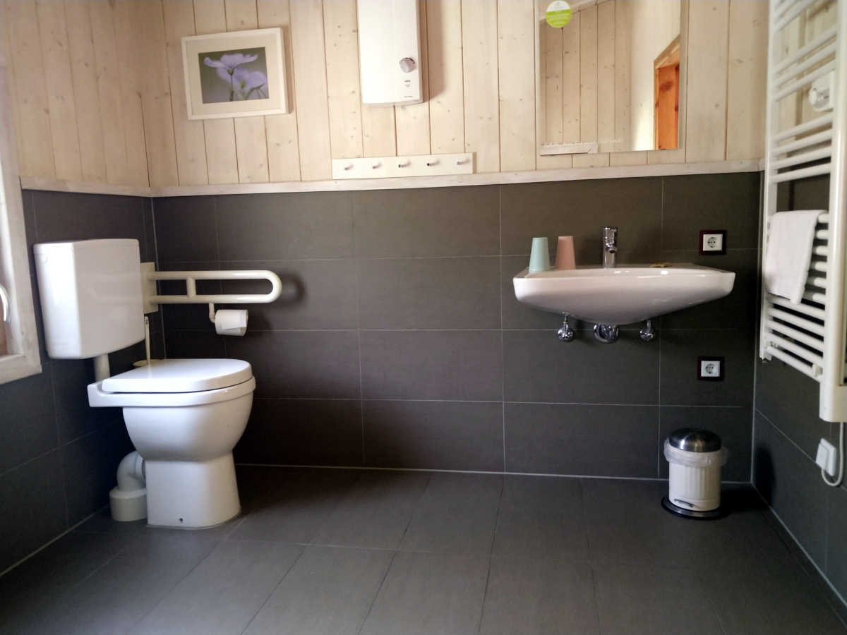 Links: normale Toilette mit einem Stütz-Griff. Rechts: ein Waschbecken.