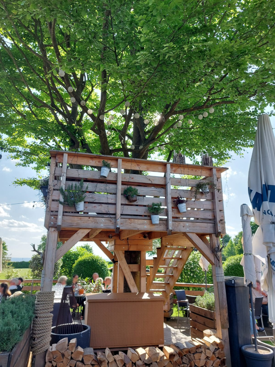 Baumhaus aus Holz, welches um einen Baum herum gebaut ist. Zugang über eine Holz-Treppe.