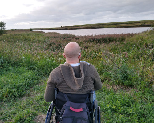 Rollstuhlfahrer vor einem Natur-Panorama. Vorne Schilf und Wiese. Im Hintergrund eine Wasser-Fläche.