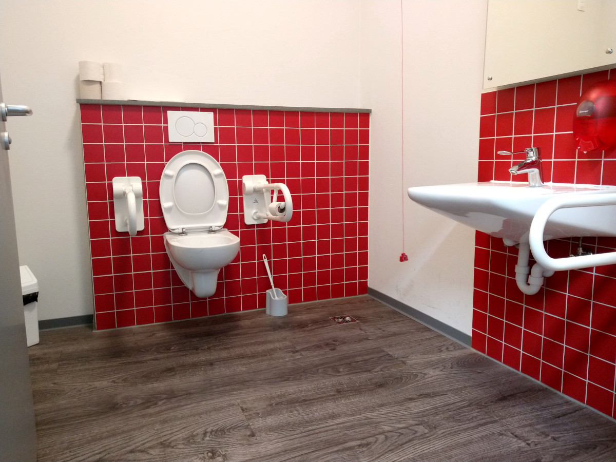 Toilette mit 2 Stütz-Griffen und unterfahrbaren Waschbecken.